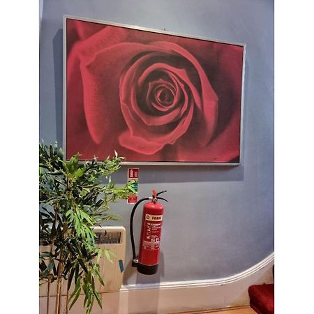 F101-First Floor Flat Fits 3 Near Hyde Park Apartment London Ngoại thất bức ảnh